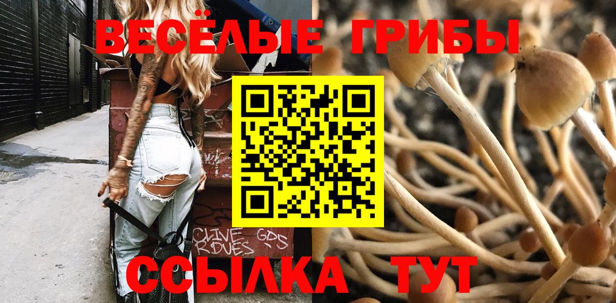Псилоцибиновые грибы Cubensis  Вход с VPN  Петропавловск-Камчатский 